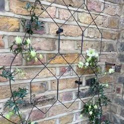Agriframes Lattice Wall Trellis STYLES & COLLECTIONS 13 Agriframes Lattice Wall Trellis STYLES & COLLECTIONS