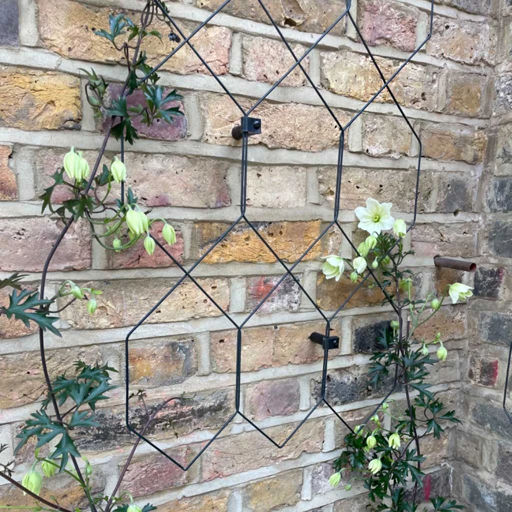 Agriframes Lattice Wall Trellis STYLES & COLLECTIONS 7 Agriframes Lattice Wall Trellis STYLES & COLLECTIONS