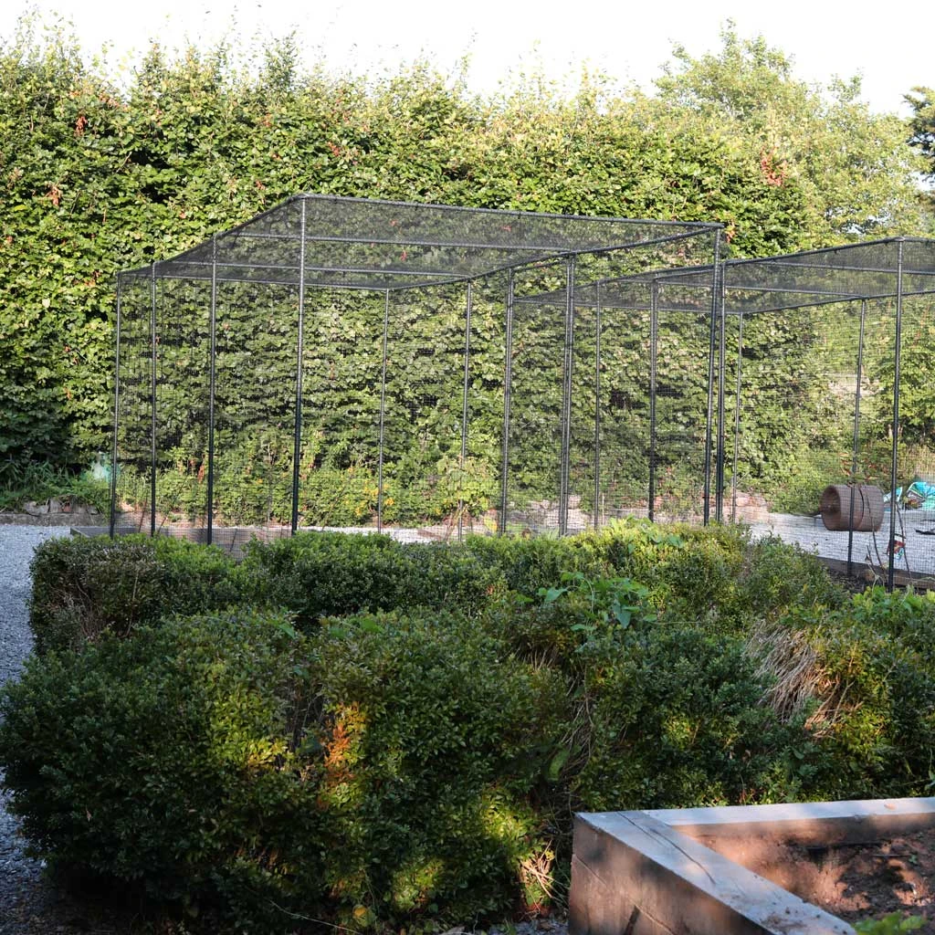 Agriframes Superior Fruit Cage - Traditional Matt Black 4 Agriframes Superior Fruit Cage - Traditional Matt Black