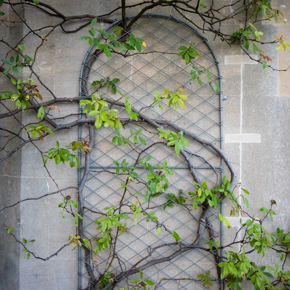 Agriframes STYLES & COLLECTIONS Elegance Trellis - Round 3 Agriframes STYLES & COLLECTIONS Elegance Trellis - Round