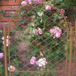 Agriframes STYLES & COLLECTIONS Elegance Trellis - Round 17 Agriframes STYLES & COLLECTIONS Elegance Trellis - Round