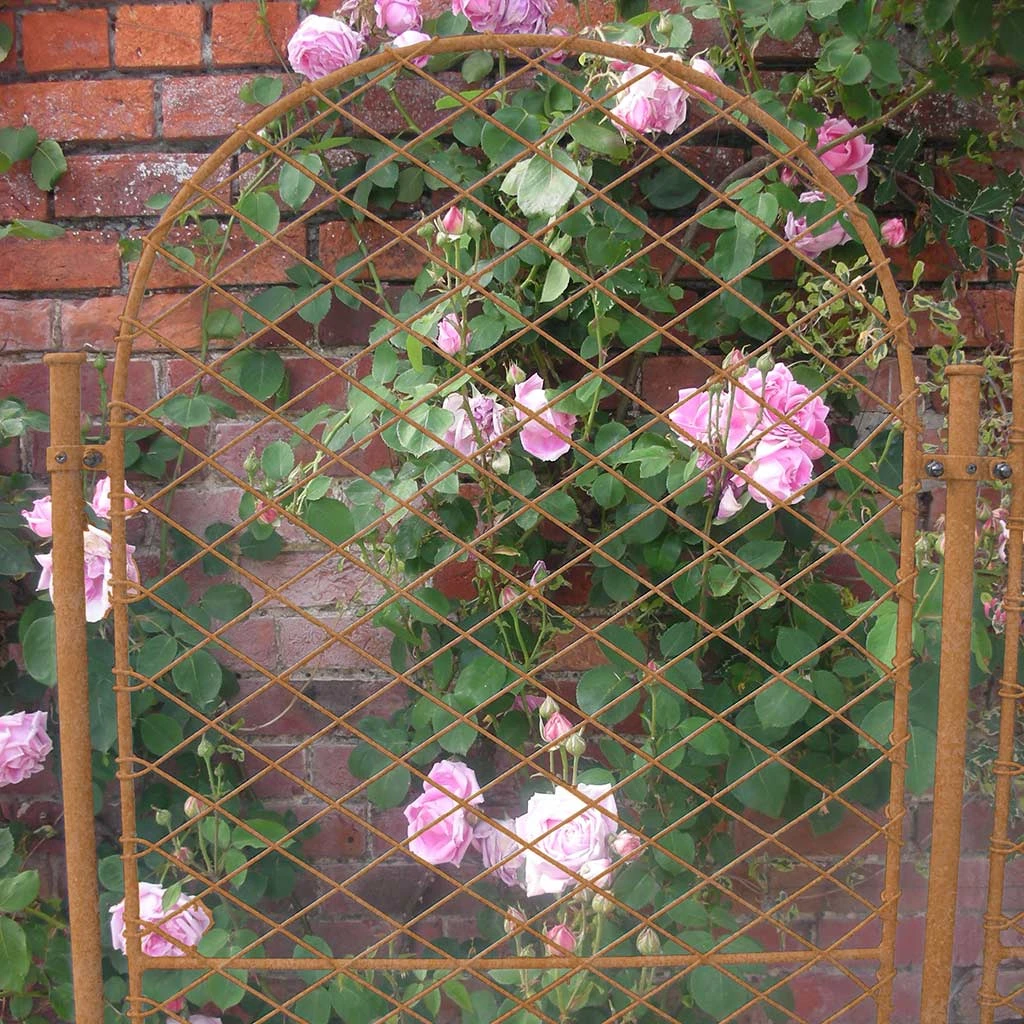 Agriframes STYLES & COLLECTIONS Elegance Trellis - Round 10 Agriframes STYLES & COLLECTIONS Elegance Trellis - Round