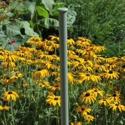 Agriframes Elegance Screen Mounting Pole SCREENS 7 Agriframes Elegance Screen Mounting Pole SCREENS