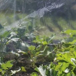 Agriframes Clear Poly Cover STYLES & COLLECTIONS