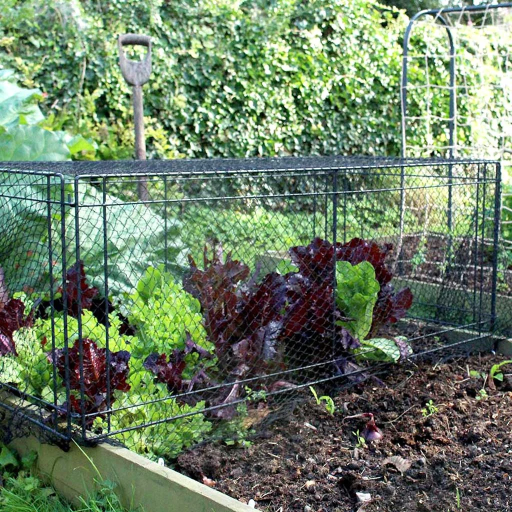 Agriframes Mini Crop Cage STYLES & COLLECTIONS 4 Agriframes Mini Crop Cage STYLES & COLLECTIONS