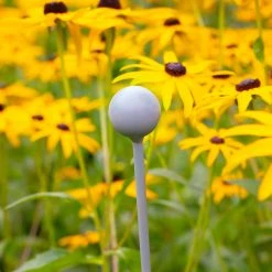 Agriframes Elegance Plant Stakes - 4 Pack STYLES & COLLECTIONS