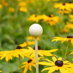 Agriframes Elegance Plant Stakes - 4 Pack STYLES & COLLECTIONS