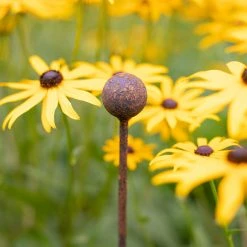 Agriframes Elegance Plant Stakes - 4 Pack STYLES & COLLECTIONS