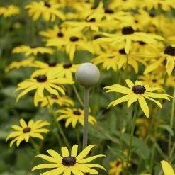 Agriframes Elegance Plant Stakes - 4 Pack STYLES & COLLECTIONS