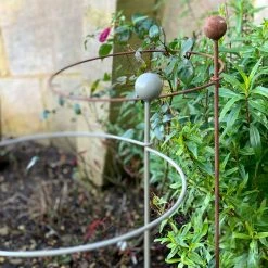 Agriframes STYLES & COLLECTIONS Hooped Plant Support