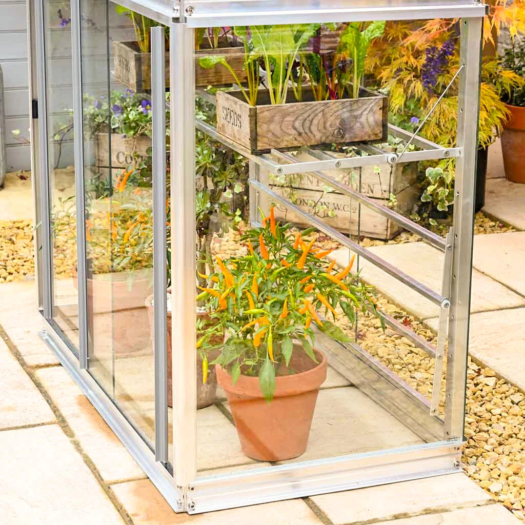 Agriframes Superior Cold Frame STYLES & COLLECTIONS 6 Agriframes Superior Cold Frame STYLES & COLLECTIONS