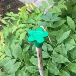 Agriframes Cane Caps (Pack Of 10)