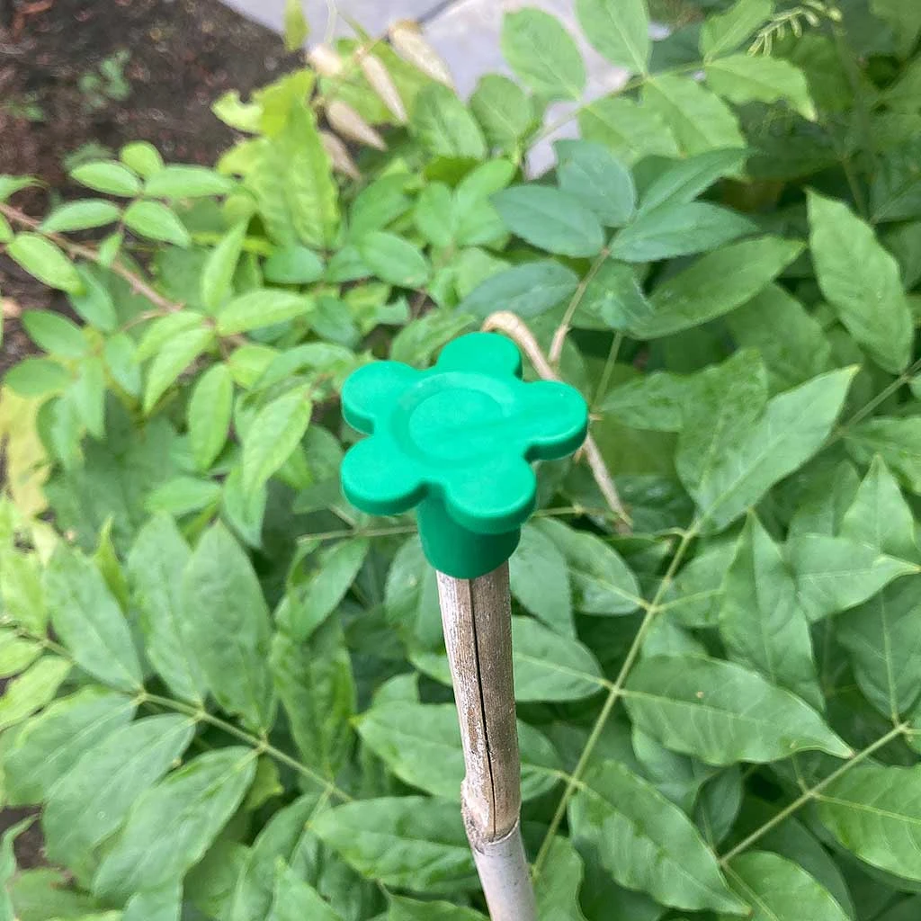 Agriframes Cane Caps (Pack Of 10) 3 Agriframes Cane Caps (Pack Of 10)