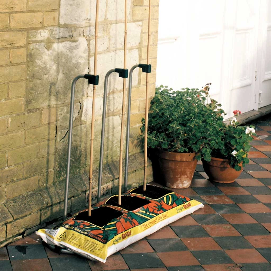 Agriframes Cane Growbag Frame STYLES & COLLECTIONS 3 Agriframes Cane Growbag Frame STYLES & COLLECTIONS