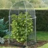 Agriframes Elegance Domed Fruit Cage 2 Agriframes Elegance Domed Fruit Cage