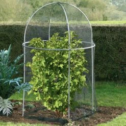 Agriframes Elegance Domed Fruit Cage
