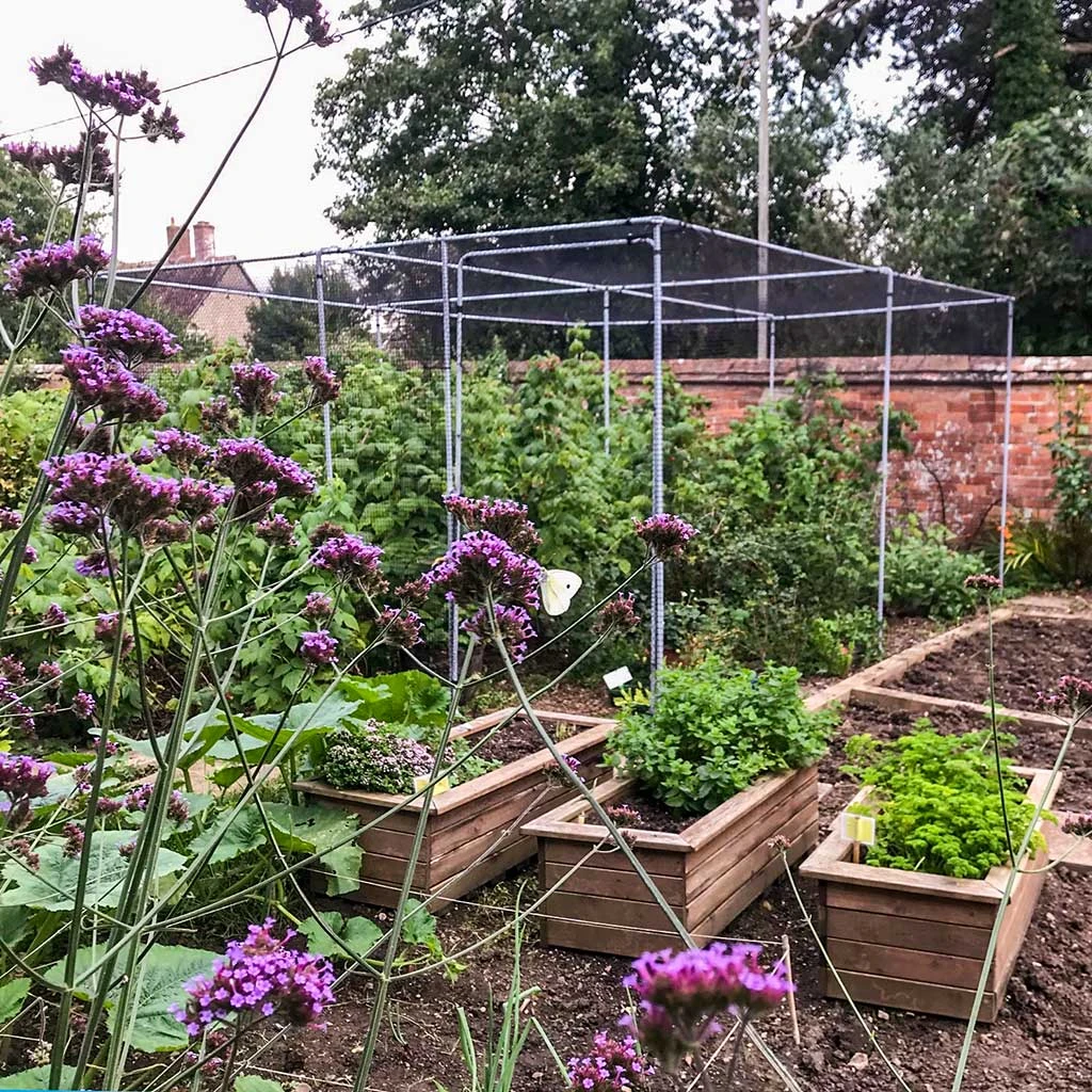 Agriframes Superior Fruit Cage - Dove Grey STYLES & COLLECTIONS 3 Agriframes Superior Fruit Cage - Dove Grey STYLES & COLLECTIONS