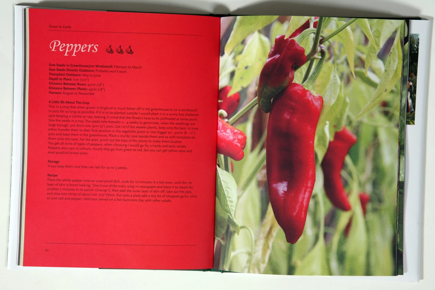 Agriframes Down To Earth STYLES & COLLECTIONS 4 Agriframes Down To Earth STYLES & COLLECTIONS