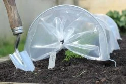 Haxnicks STYLES & COLLECTIONS Easy Seedling Tunnel
