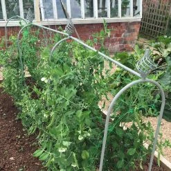 Agriframes Elegance Pea & Bean Hoops STYLES & COLLECTIONS