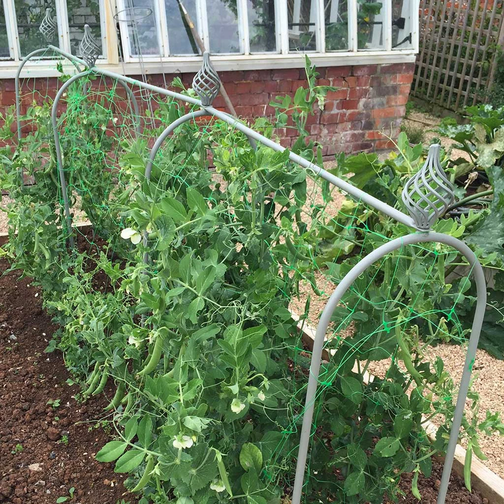 Agriframes Elegance Pea & Bean Hoops STYLES & COLLECTIONS 4 Agriframes Elegance Pea & Bean Hoops STYLES & COLLECTIONS