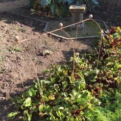 Agriframes Elegance Pea & Bean Hoops With Round Finial 15 Agriframes Elegance Pea & Bean Hoops With Round Finial