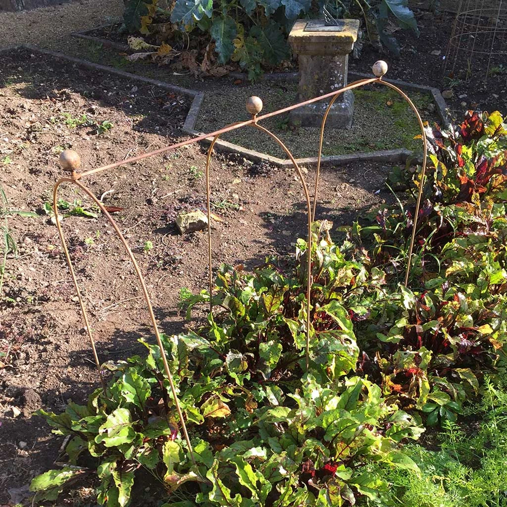 Agriframes Elegance Pea & Bean Hoops With Round Finial 9 Agriframes Elegance Pea & Bean Hoops With Round Finial