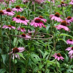 Agriframes STYLES & COLLECTIONS Spiral Plant Support, Rustic - Set Of 3 8 Agriframes STYLES & COLLECTIONS Spiral Plant Support, Rustic - Set Of 3