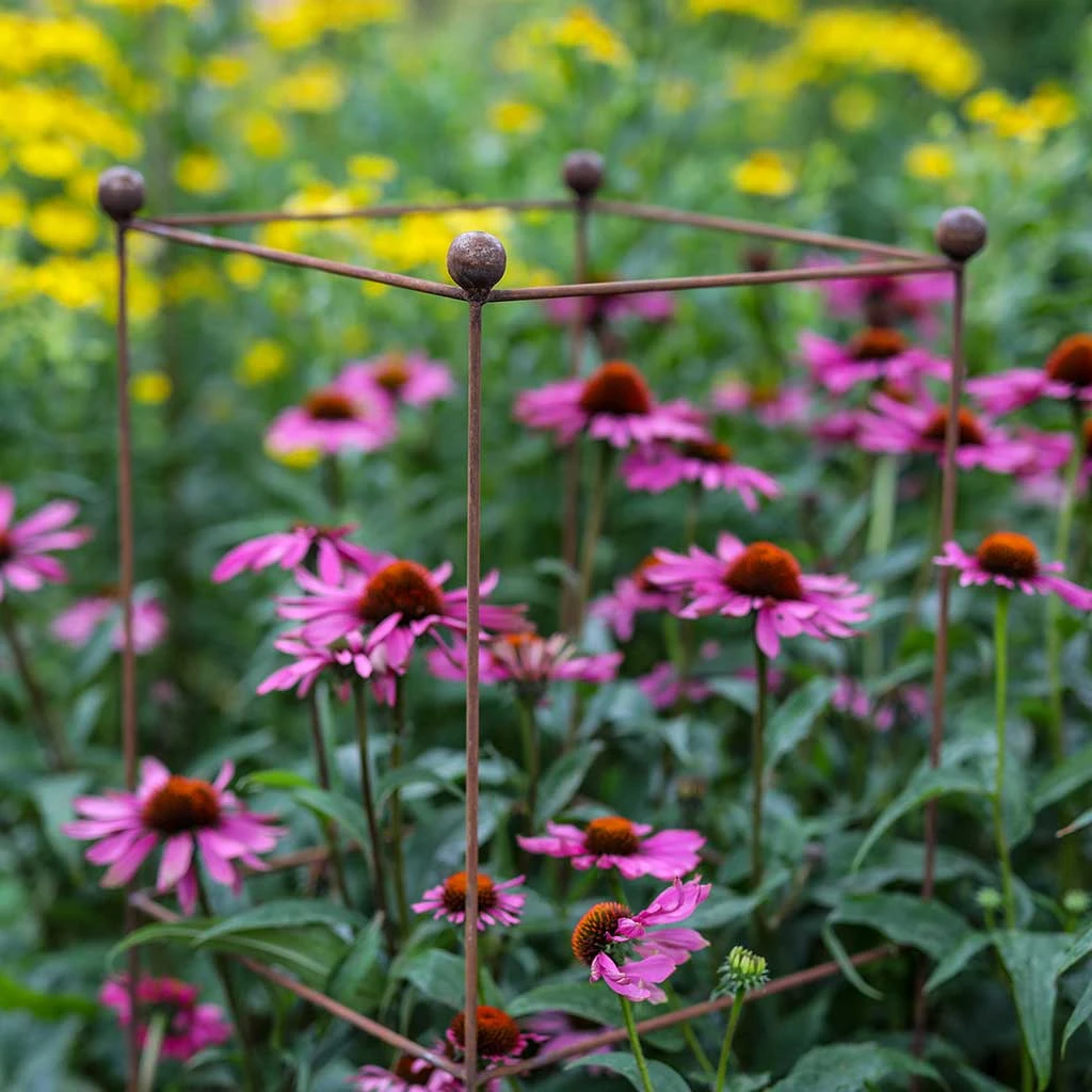 Agriframes Tower Tall Plant Support - Set Of 3 - S/M/L 5 Agriframes Tower Tall Plant Support - Set Of 3 - S/M/L