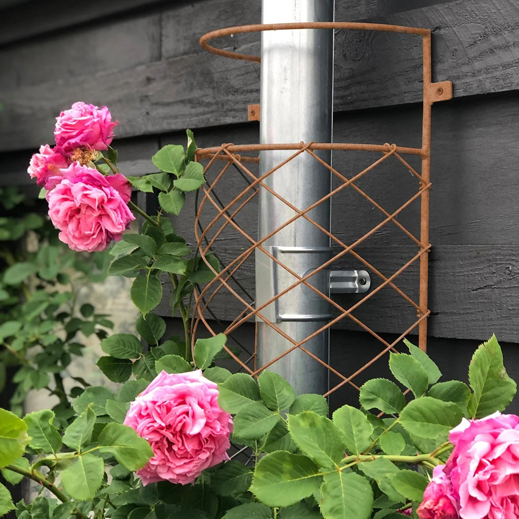 Agriframes Elegance Drainpipe Cover 9 Agriframes Elegance Drainpipe Cover