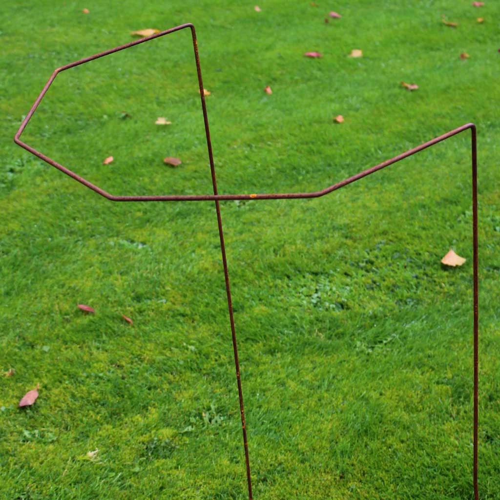 Agriframes Elegance Plant Support STYLES & COLLECTIONS 7 Agriframes Elegance Plant Support STYLES & COLLECTIONS