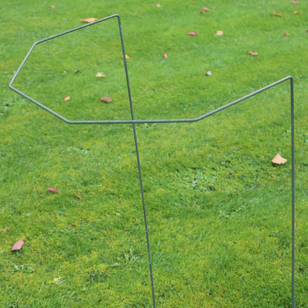 Agriframes Elegance Plant Support STYLES & COLLECTIONS 8 Agriframes Elegance Plant Support STYLES & COLLECTIONS