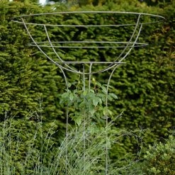 Agriframes Elegance Rose Umbrella 16 Agriframes Elegance Rose Umbrella