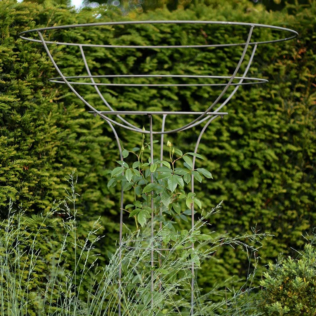 Agriframes Elegance Rose Umbrella 9 Agriframes Elegance Rose Umbrella