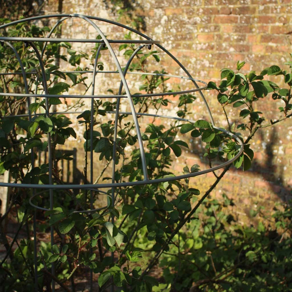 Agriframes Elegance Rose Umbrella 6 Agriframes Elegance Rose Umbrella