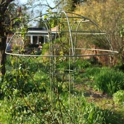 Agriframes Elegance Rose Umbrella 15 Agriframes Elegance Rose Umbrella