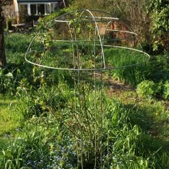 Agriframes Elegance Rose Umbrella