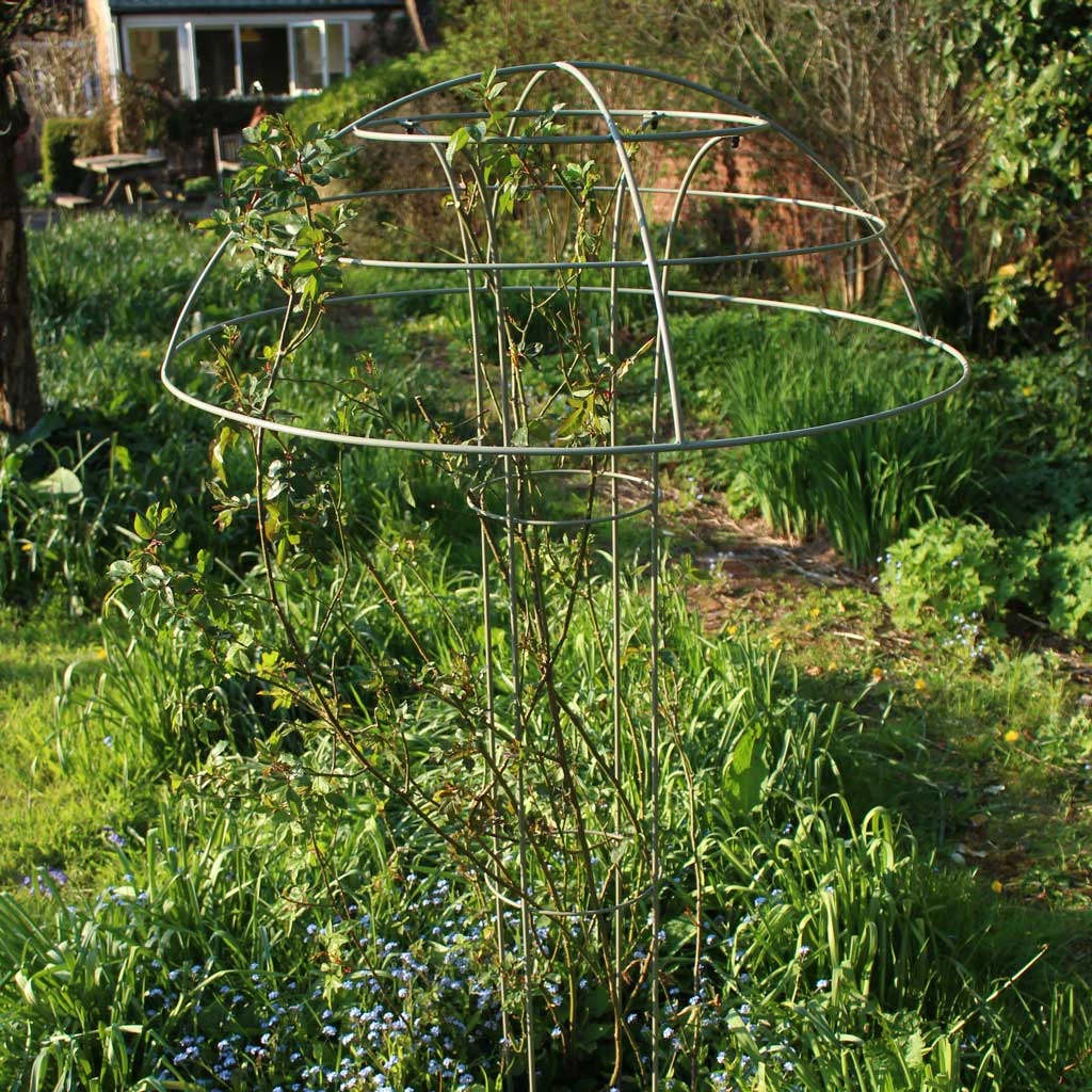 Agriframes Elegance Rose Umbrella 4 Agriframes Elegance Rose Umbrella