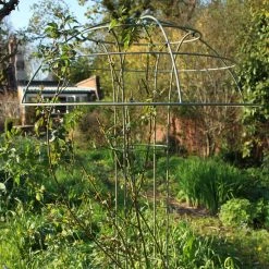 Agriframes Elegance Rose Umbrella 14 Agriframes Elegance Rose Umbrella