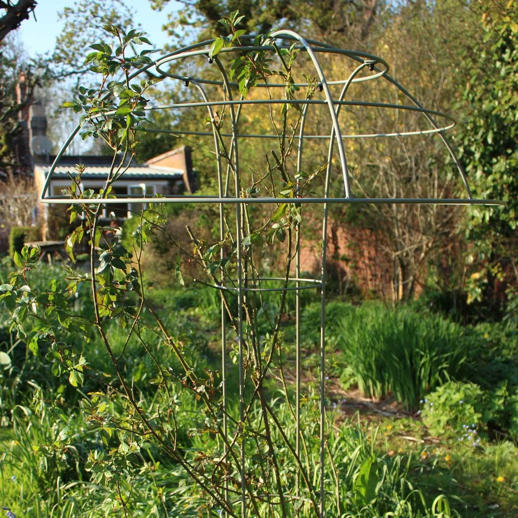 Agriframes Elegance Rose Umbrella 7 Agriframes Elegance Rose Umbrella