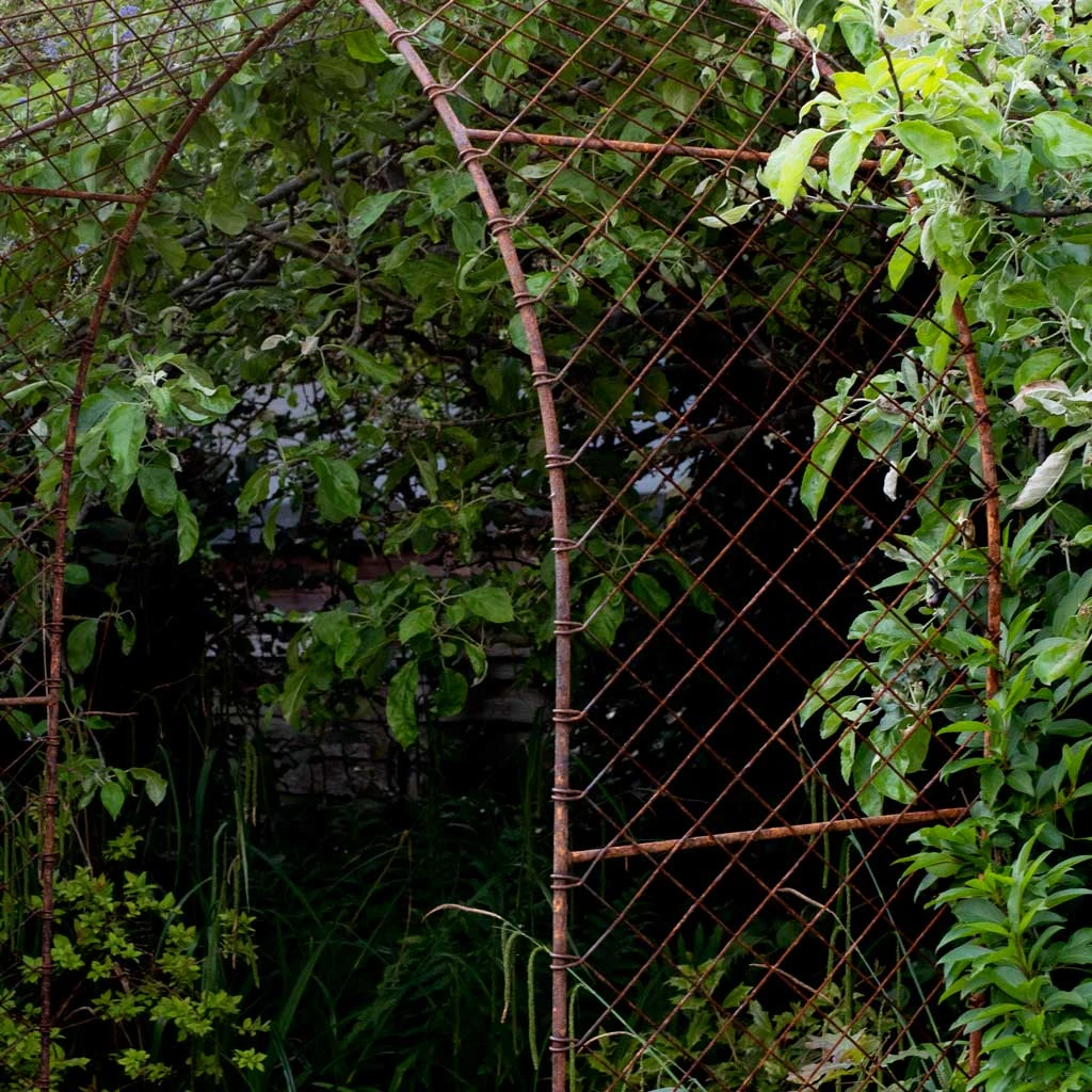 Agriframes ARCHES Elegance Round Arch 11 Agriframes ARCHES Elegance Round Arch