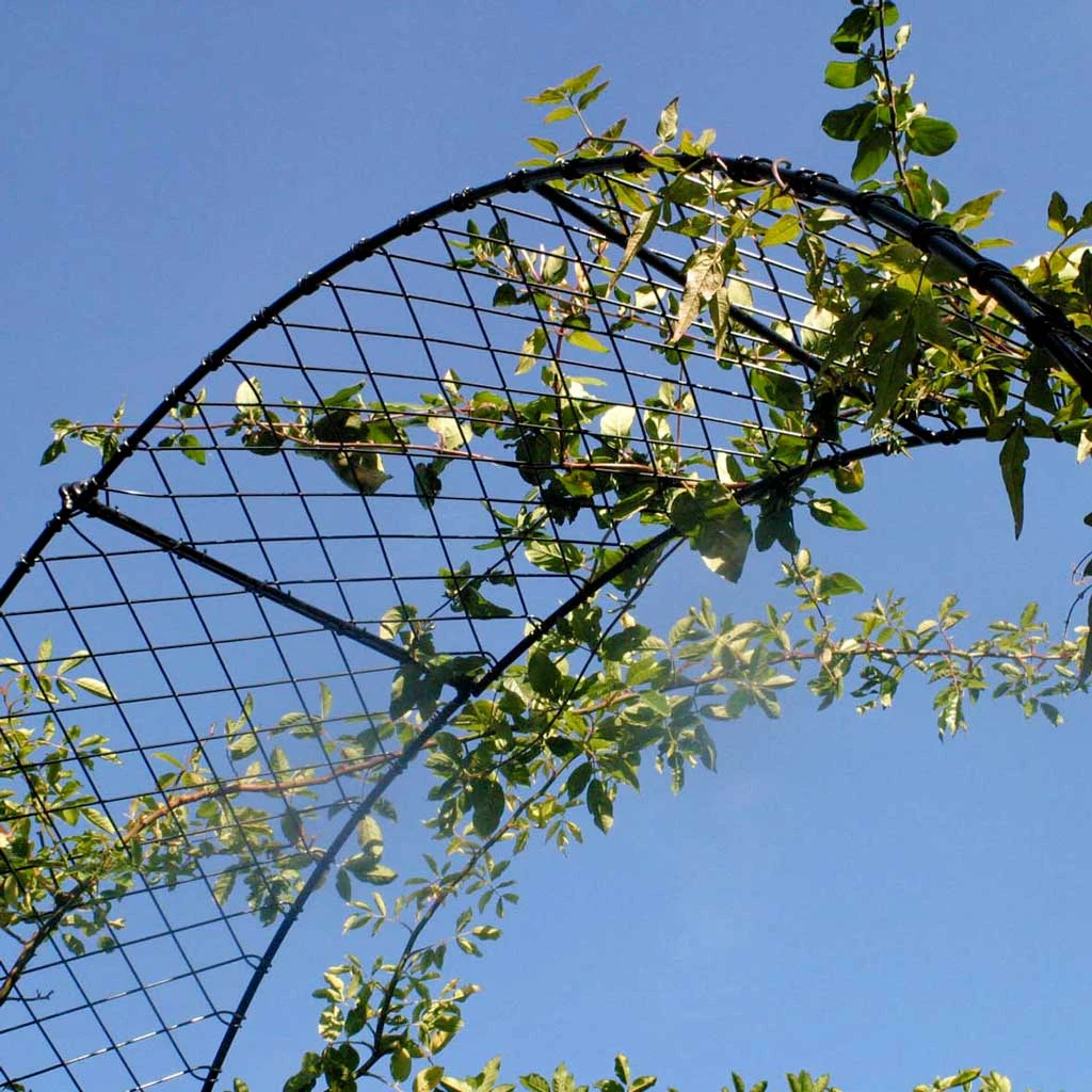 Agriframes ARCHES Elegance Round Arch 12 Agriframes ARCHES Elegance Round Arch