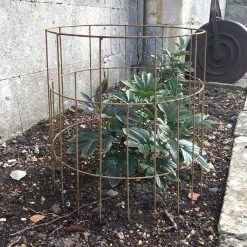 Agriframes Elegance Round Plant Support 13 Agriframes Elegance Round Plant Support