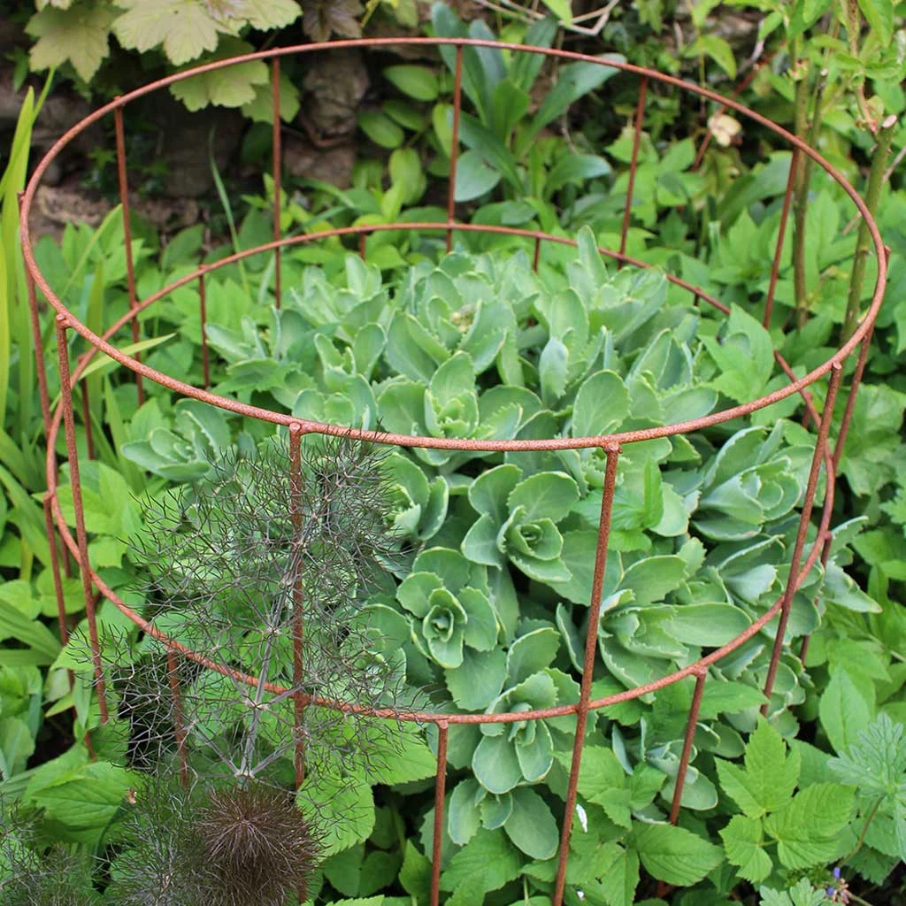 Agriframes Elegance Round Plant Support 3 Agriframes Elegance Round Plant Support