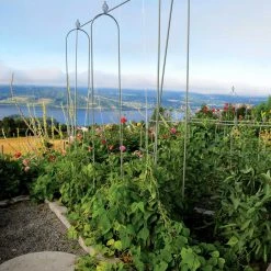 Agriframes Elegance Runner Bean Frame