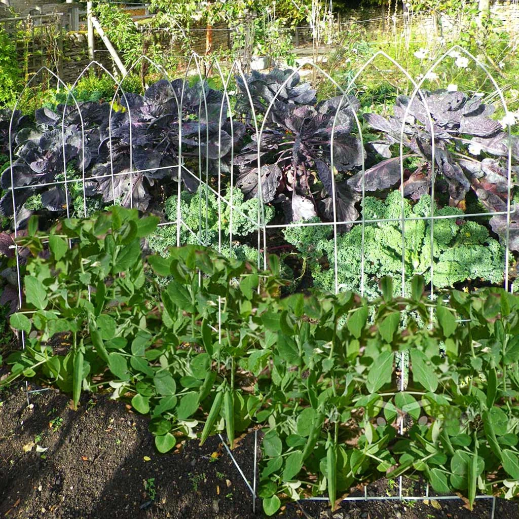 Agriframes STYLES & COLLECTIONS Elegance Pea Frame 4 Agriframes STYLES & COLLECTIONS Elegance Pea Frame