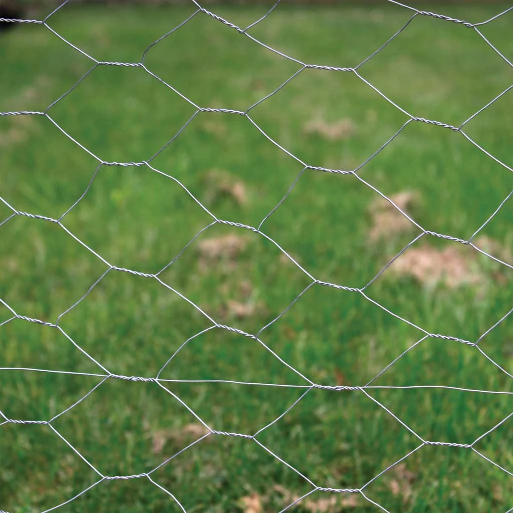 Agriframes STYLES & COLLECTIONS Galvanised Wire Net 4 Agriframes STYLES & COLLECTIONS Galvanised Wire Net