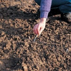 Agriframes Steel Ground Hooks