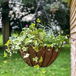 Agriframes York Hanging Basket
