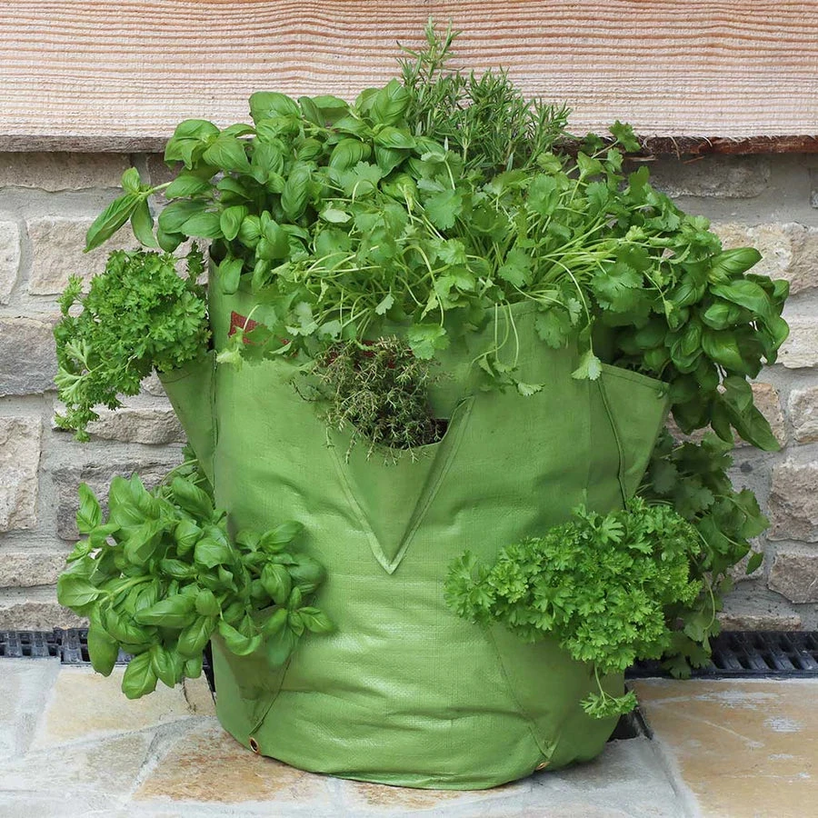 Agriframes Strawberry And Herb Planter (Pack Of 2) STYLES & COLLECTIONS 5 Agriframes Strawberry And Herb Planter (Pack Of 2) STYLES & COLLECTIONS